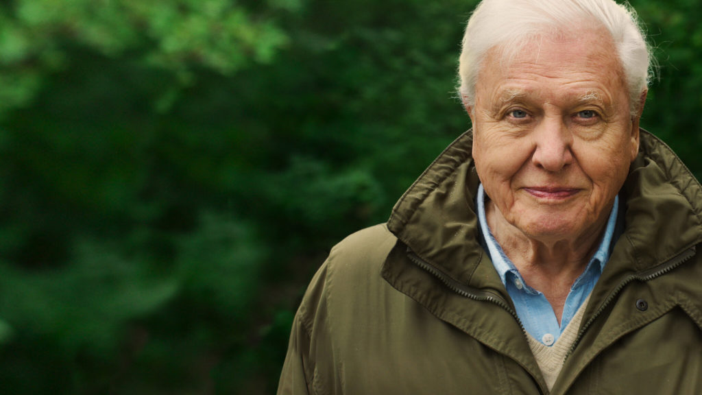 David Attenborough Netflix A Life on Our Planet