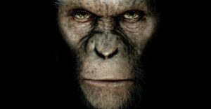 Rise of the Planet of the Apes - Friday Night Movies